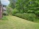 Green backyard with a neatly trimmed hedge, offering privacy and a serene outdoor space at 4125 Enfield Ridge Dr, Cary, NC 27519