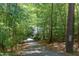 Scenic driveway winding through a lush, green forest, offering a private and tranquil approach to the property at 5314 Taproot Ln, Durham, NC 27705