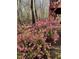 Exterior blooming landscaping of pink azaleas surrounding a wooded area adds natural beauty to the homes landscape at 5314 Taproot Ln, Durham, NC 27705