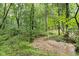 Babbling brook running through the lush green forest at 5513 Doemont Dr, Apex, NC 27539