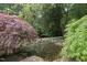 Scenic pond with lush landscaping featuring a maple tree at 5513 Doemont Dr, Apex, NC 27539