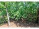 Secluded backyard surrounded by lush trees, offering privacy and a tranquil natural setting at 104 Tutbury Pl, Cary, NC 27519