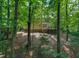 Spacious backyard surrounded by mature trees, offering privacy and a natural setting at 104 Tutbury Pl, Cary, NC 27519