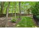 Spacious backyard with mature trees and green lawn, featuring a fence line for added privacy at 10540 Byrum Woods Dr, Raleigh, NC 27613