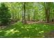 Green backyard featuring mature trees, a lawn, and fenced perimeter providing privacy and shade at 10540 Byrum Woods Dr, Raleigh, NC 27613