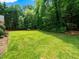Large backyard with well-maintained lawn and lush mature trees, perfect for outdoor enjoyment at 11221 Paddy Hollow Ln, Raleigh, NC 27614