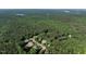 Aerial view of the neighborhood showcasing the tree coverage, surrounding area, and residential landscape at 1201 Kalworth Rd, Wake Forest, NC 27587