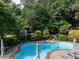 Inviting in-ground pool with lounge chairs and umbrellas, surrounded by lush landscaping in the backyard at 1201 Kalworth Rd, Wake Forest, NC 27587
