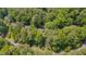 High aerial view of a home in a neighborhood surrounded by mature trees at 207 Old Forest Creek Dr, Chapel Hill, NC 27514