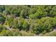 Bird's eye view of the home surrounded by mature trees in the neighborhood at 207 Old Forest Creek Dr, Chapel Hill, NC 27514