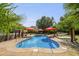 Sparkling in-ground pool features red umbrellas, mature landscaping and hammock stands at 213 Birch Creek Dr, Fuquay Varina, NC 27526