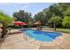 Backyard pool offers lounge areas, umbrellas, tropical trees, and a calm setting at 213 Birch Creek Dr, Fuquay Varina, NC 27526