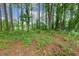 A picturesque wooded area with lush greenery and a glimpse of a distant building, offering a serene natural setting at 22 Chapman Ct, Wendell, NC 27591