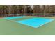 This bright, modern pickleball court is painted with blue in the square areas and green in the out-of-bounds areas at 222 Sagamore Dr, Louisburg, NC 27549
