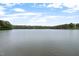 Expansive view of the serene lake surrounded by lush greenery and clear blue skies at 249 Fisherman Point Rd, Roxboro, NC 27574