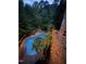 Aerial view of a luxurious pool with palm trees and lounge chairs, surrounded by lush greenery and cozy string lights at 3601 Nightfall Ct, Raleigh, NC 27607
