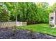 A fenced backyard featuring green grass, with a newly landscaped area with plants and dark mulch at 509 Fish Pond Ct, Rolesville, NC 27571