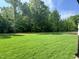 Expansive green backyard with a dense tree line, offering privacy and a natural setting at 525 Allesandra Dr, Clayton, NC 27527