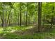 Lush backyard with mature trees and greenery, offering a serene and private outdoor space at 5604 Hideaway Dr, Chapel Hill, NC 27516