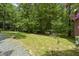 Spacious backyard with a small lawn, surrounded by lush trees and greenery at 5604 Hideaway Dr, Chapel Hill, NC 27516