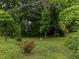 Lush backyard featuring mature trees and green foliage, offering privacy and a natural setting at 605 Mace Rd, Mebane, NC 27302