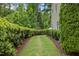 Backyard with lush green foliage, grass and wood chip flowerbeds at 7871 Allscott Way, Raleigh, NC 27612