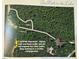 The Path to the Lake for 96 Holly Circle, only use Path A or Path B at 96 Holly Cir, Henderson, NC 27537