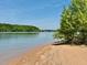 Scenic lake view with lush greenery and a tranquil waterfront at 96 Holly Cir, Henderson, NC 27537