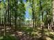 Scenic lot view with mature trees and a glimpse of the lake through the trees under a clear sky at 96 Holly Cir, Henderson, NC 27537