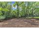 Expansive backyard featuring a wooded perimeter and privacy fence at 1011 Burch Ave, Durham, NC 27701