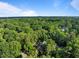 Overhead shot of a home surrounded by dense trees, with skyline visible at 1112 Blenheim Dr, Raleigh, NC 27612