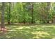 Green and lush backyard with mature trees creates a private and serene atmosphere at 117 Carolina Forest Rd, Chapel Hill, NC 27516