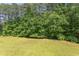 A sprawling backyard featuring luscious green grass and mature trees offering privacy at 117 Carolina Forest Rd, Chapel Hill, NC 27516