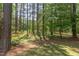 Backyard with mature trees provides shade and privacy in a peaceful outdoor setting at 117 Carolina Forest Rd, Chapel Hill, NC 27516