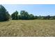 Expansive green backyard showcasing an open space surrounded by trees at 120 Gentle Rain Dr, Garner, NC 27529
