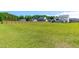 Expansive backyard with lush grass, bordered by a wooden fence and mature trees at 173 Vinson Park Dr, Archer Lodge, NC 27527