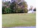 Deer grazing on the front lawn; wild land behind property at 1837 Garrett House Trl, Burlington, NC 27215