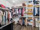 Spacious walk-in closet with organized shelving, hanging racks, drawers, and a chandelier at 211 Education Dr, Spring Lake, NC 28390