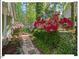 Charming backyard walkway with mature plants, leading through the landscaped yard at 216 Brook Ln, Durham, NC 27712