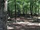 Disc golf basket in wooded area offers outdoor recreational activity at 305 Burkwood Ln, Raleigh, NC 27609