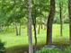 Park-like backyard with mature trees and lush green space, providing a serene and private setting for outdoor enjoyment at 327 Beavertail Rd, Henderson, NC 27537