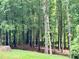 Lush backyard featuring mature trees and greenery, creating a serene and private outdoor space at 327 Beavertail Rd, Henderson, NC 27537