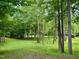 Beautiful backyard featuring mature trees and lush green space, creating a private and peaceful outdoor oasis at 327 Beavertail Rd, Henderson, NC 27537