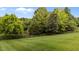 Beautiful backyard with lush, green lawn, mature trees, and a sturdy black metal fence at 4420 Bonnie Loch Dr, Burlington, NC 27215