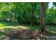 Picturesque backyard featuring lush greenery, mature trees, and a tranquil setting at 5236 Turf Grass Ct, Raleigh, NC 27610