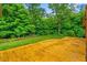 Large wooden back deck overlooking lush greenery and trees, perfect for outdoor enjoyment at 5939 Florasaline Dr, Mebane, NC 27302