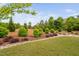 A picturesque backyard with manicured lawn, mature trees, shrubs, and artistic rock accents creating a serene landscape at 829 Churton Pl, Cary, NC 27518