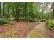 Secluded backyard with mature trees and lush landscaping create a peaceful and private oasis at 1009 Blue Larkspur Ave, Wake Forest, NC 27587