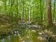 Natural creek surrounded by lush green foliage in a wooded area at 1514 Lawrence Rd, Creedmoor, NC 27522
