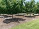 Park area with mature trees and benches at 152 Chauncey Cir, Chapel Hill, NC 27516